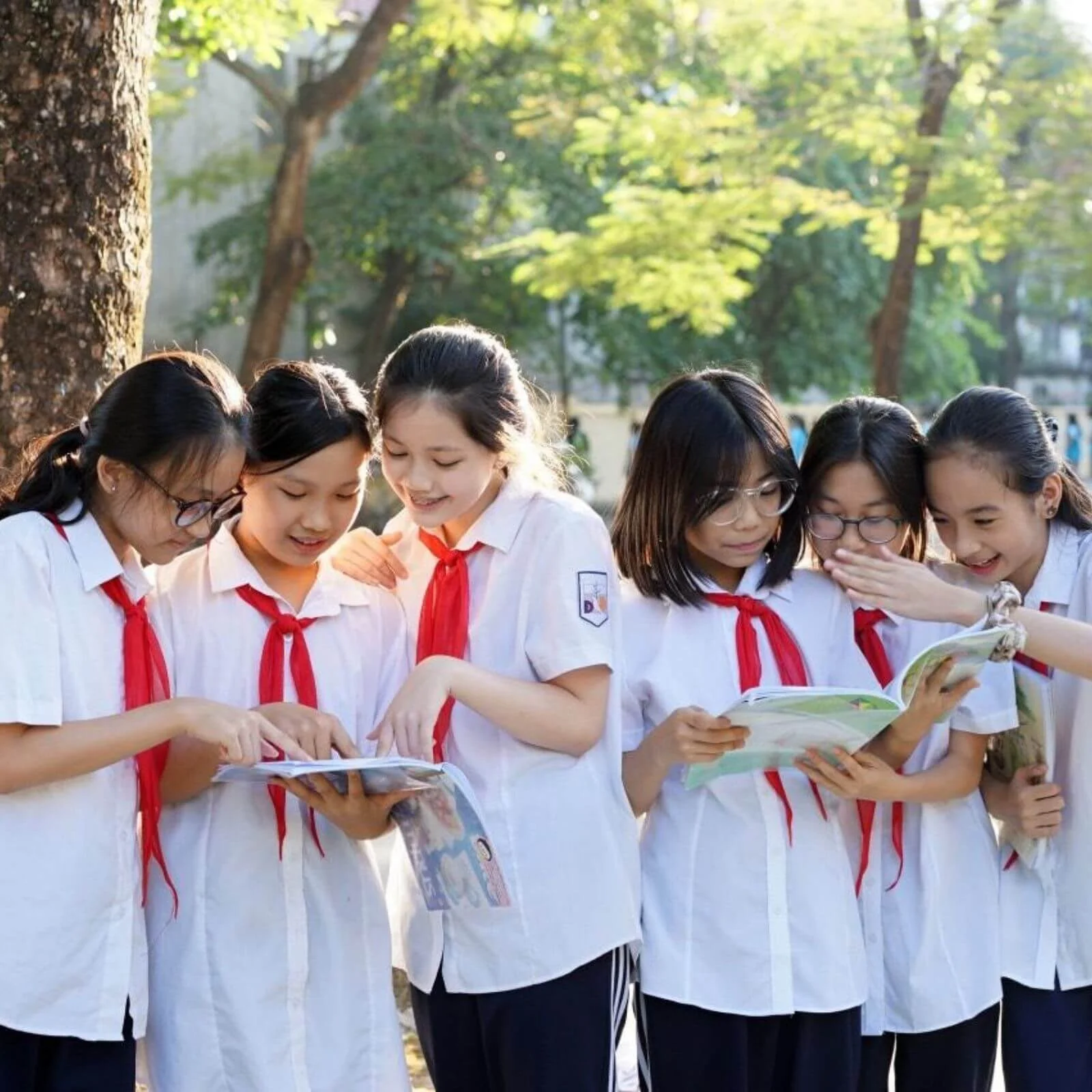 20+ Mẫu Đồng Phục Học Sinh Cấp 2 Đẹp, Chất Lượng Cao