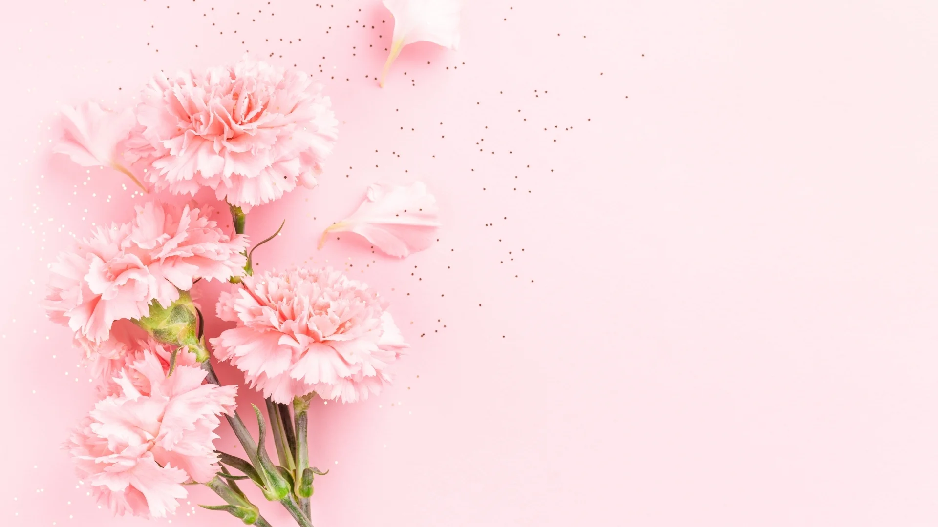 background hồng với hoa