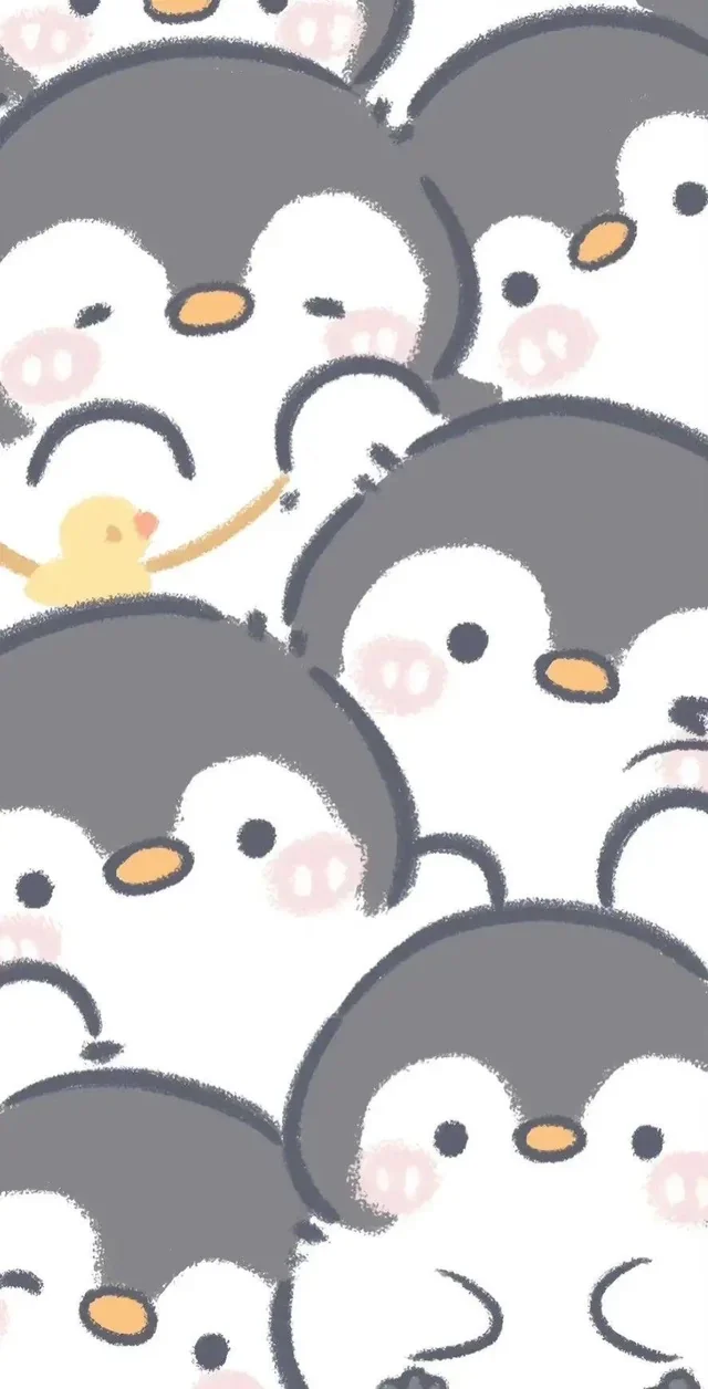 Hình nền điện thoại chim cánh cụt tui tìm được trên Pinterest : r/penguin