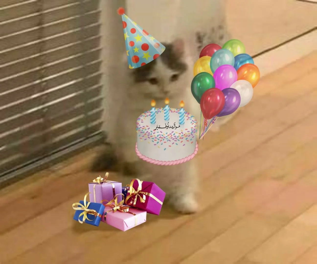 Meme happy birthday hài hước với chú mèo đội mũ sinh nhật bên bánh kem, bóng bay và những hộp quà nhiều màu sắc