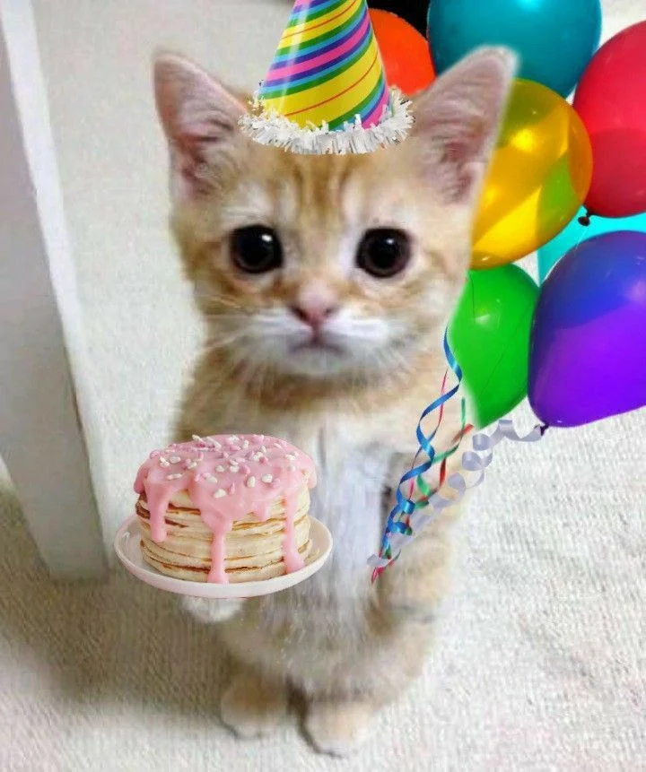 Meme happy birthday đáng yêu với mèo con đội mũ sinh nhật, đứng cạnh bánh kem hồng và bóng bay nhiều màu