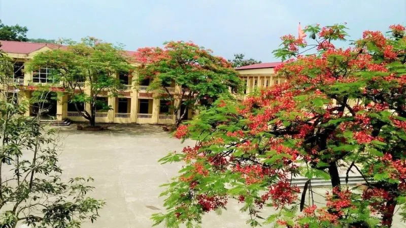 100+ ảnh trường học đẹp 4K cho điện thoại, máy tính (2)