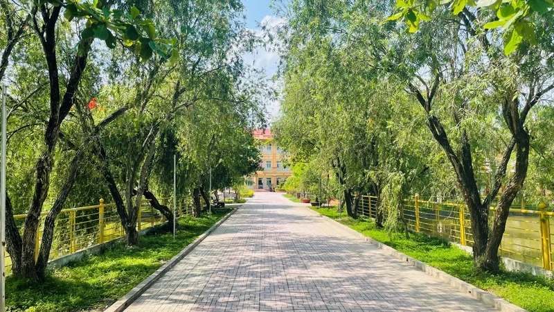 Khám phá loạt ảnh trường học xanh, thân thiện với môi trường