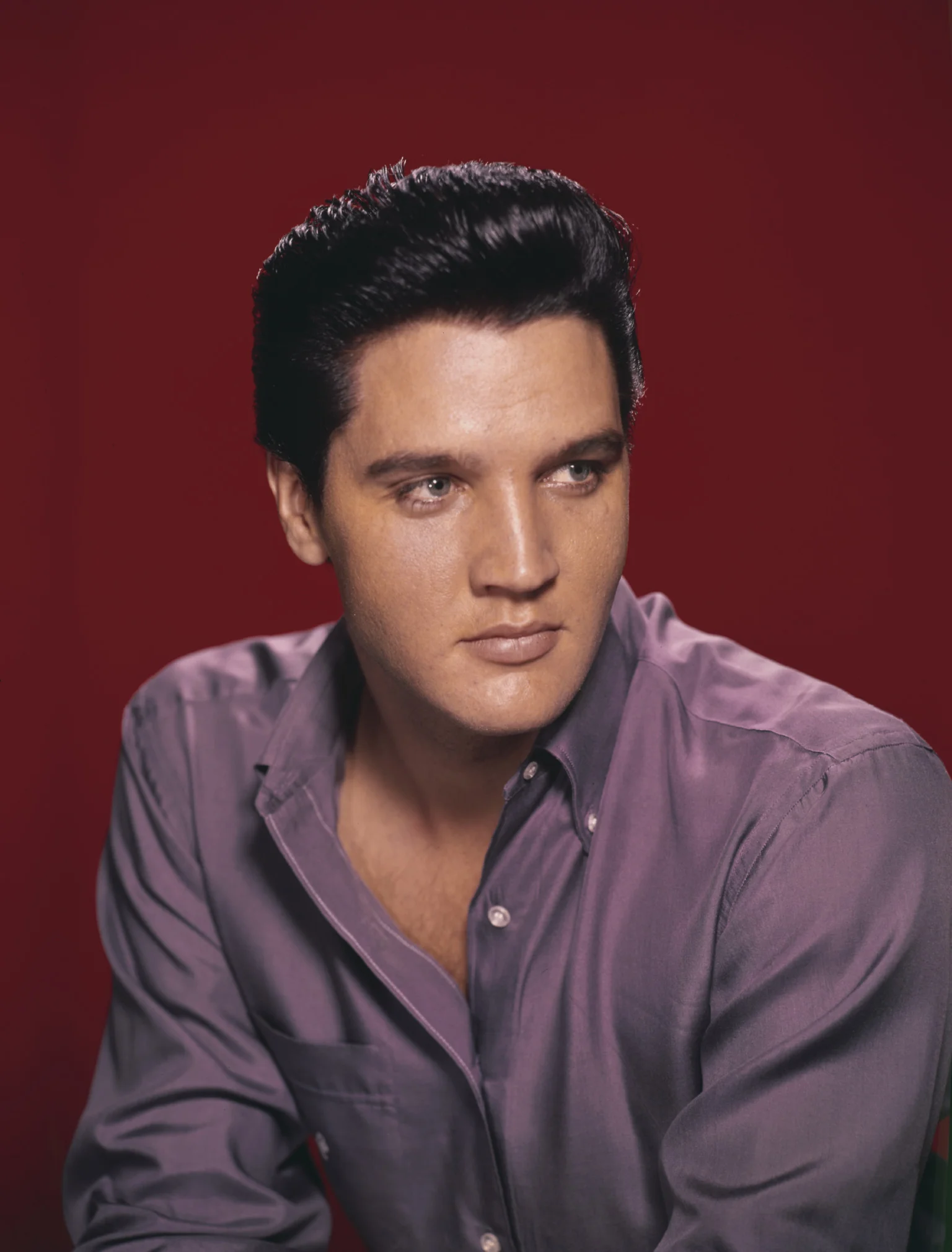 Chân dung Elvis Presley mặc áo sơ mi tím trên nền đỏ