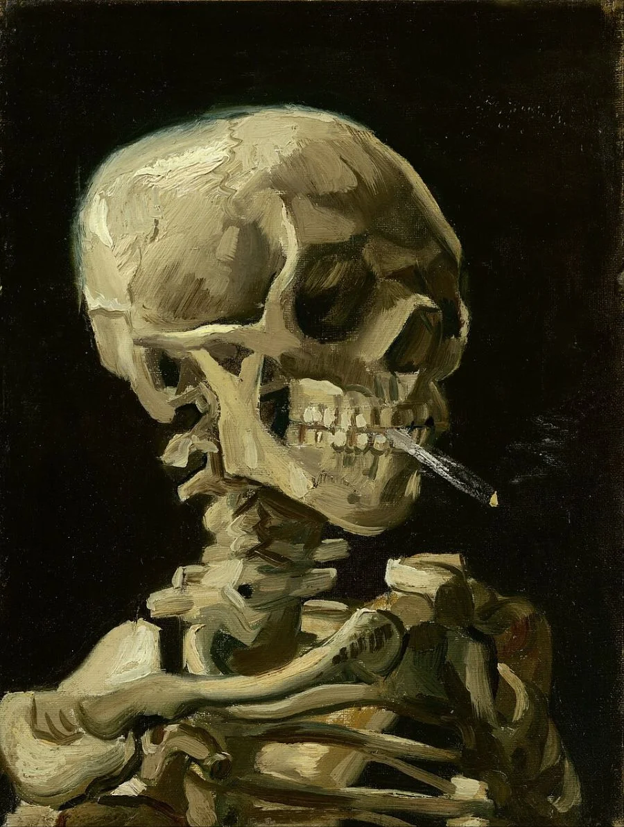 30 Bức tranh nổi tiếng nhất của Van Gogh theo thời gian (2)