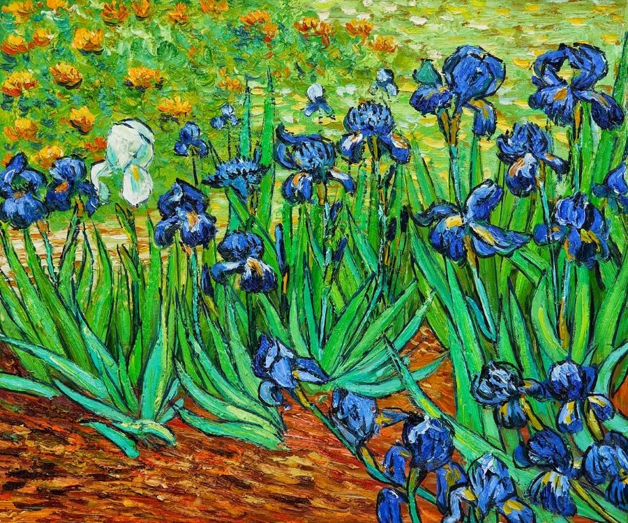 Họa Sĩ Van Gogh - Tiểu Sử Cuộc Đời, Sự Nghiệp & Tác Phẩm Nổi Tiếng (2)