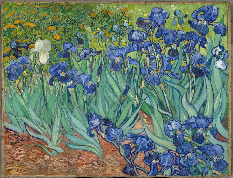 30 Bức tranh nổi tiếng nhất của Van Gogh theo thời gian (3)