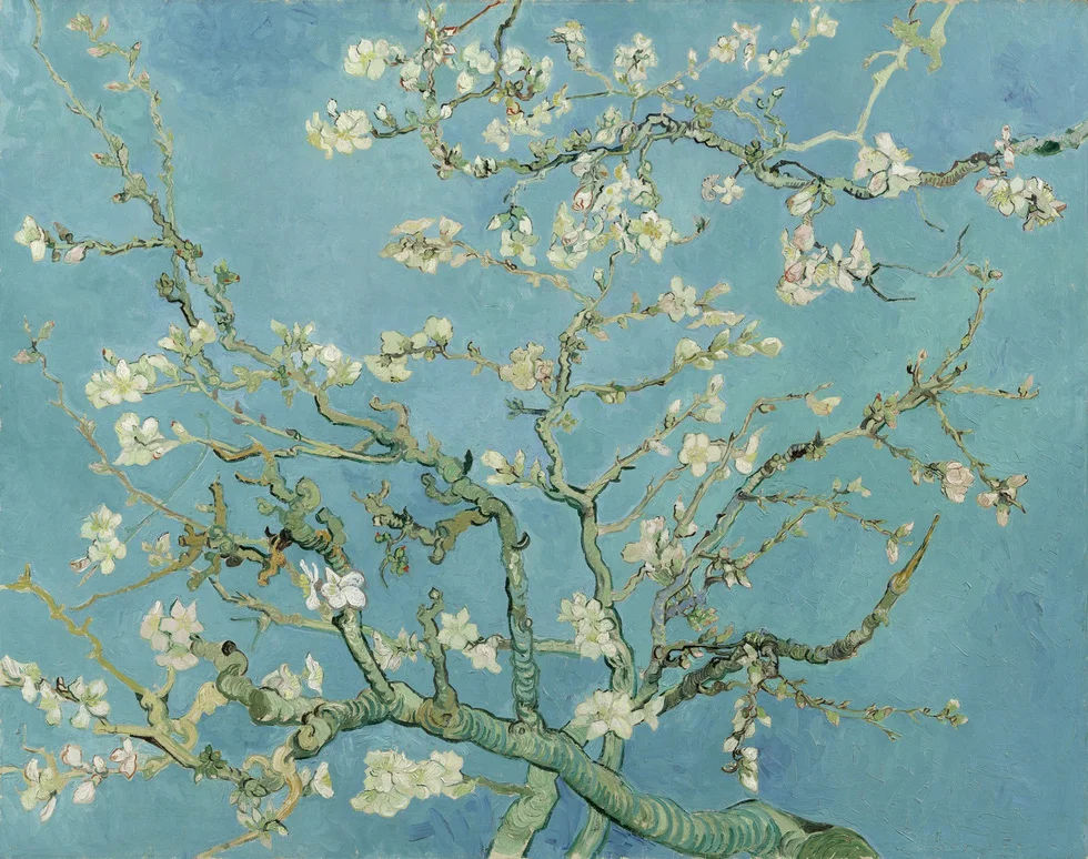 Lần đầu tiên xem tranh Van Gogh phiên bản số ở Việt Nam - Ảnh 7.