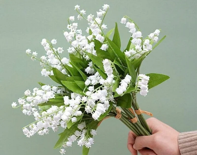 Bó hoa linh lan trắng cắm tự nhiên trên nền xanh nhạt